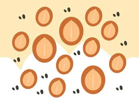Macadamia Nut Concept Illustration Style Stock Illustration
