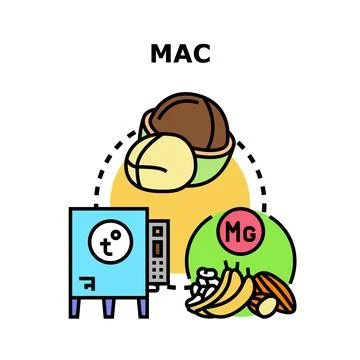 Macadamia nut growing and magnesium nutrition concept Stock Illustration