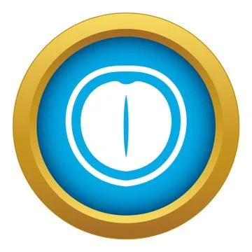 Macadamia nut icon blue vector isolated Stock Illustration