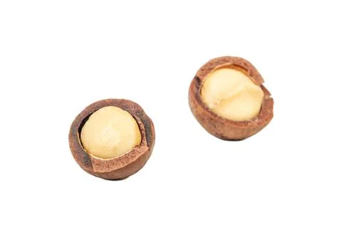 Macadamia nut isolated Stockfoto's
