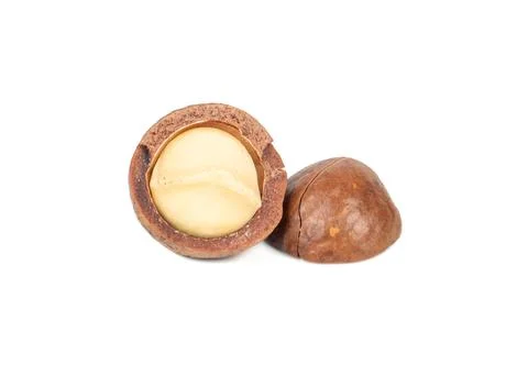 Macadamia nut isolated Stock Photos