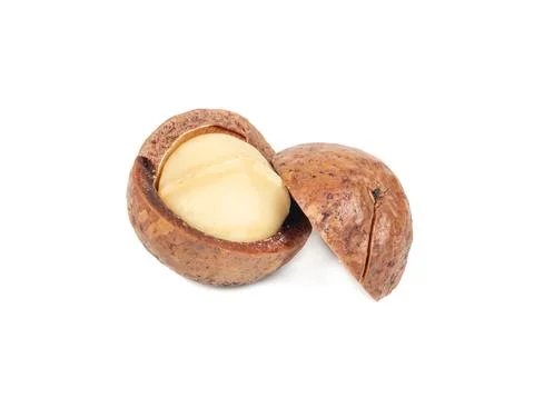 Macadamia nut isolated Stockfoto's
