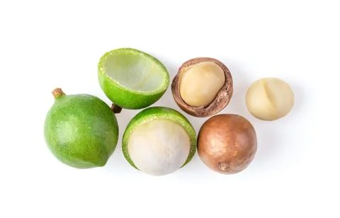 Macadamia nut isolated on white background. top view Stock Photos