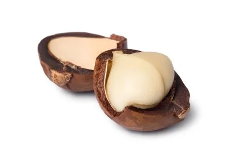 Macadamia nut isolated on white background Foto stock