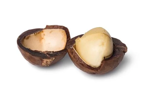 Macadamia nut isolated on white background Stock Photos