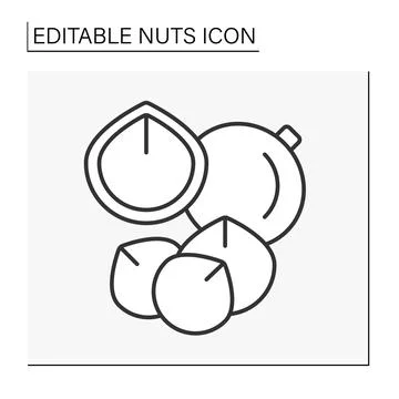 Macadamia nut line icon Stock Illustration