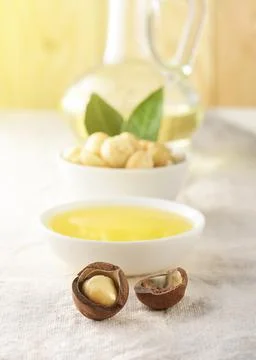 Macadamia nut oil on a light background with sun rays. Foto stock
