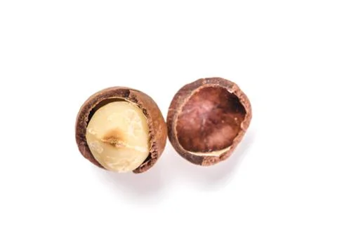 Macadamia nut with open shells, isolated, top view Foto stock