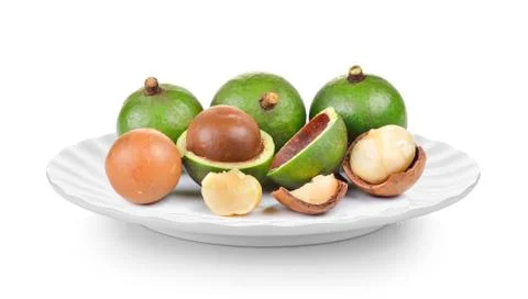 Macadamia nut in plate on white background Stock Photos