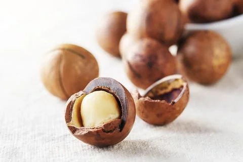 Macadamia nut scattered on a light table in the morning. Foto stock