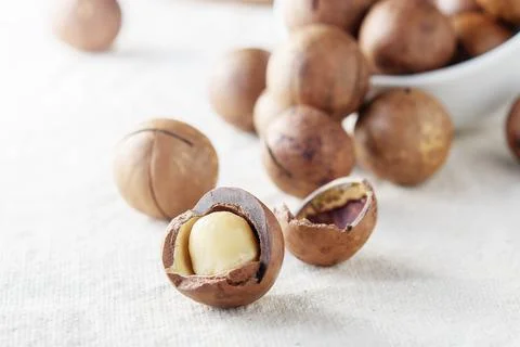 Macadamia nut scattered on a light table in the morning. Foto stock