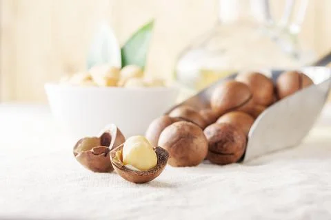 Macadamia nut scattered on a light table in the morning. Stock Photos