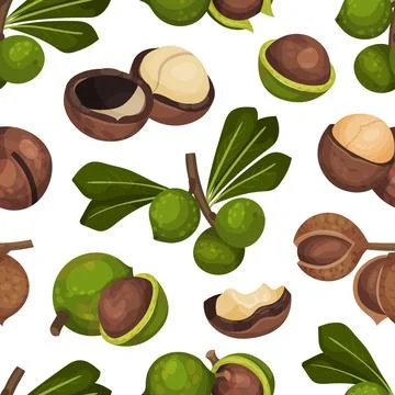Macadamia Nut Seamless Pattern with Kernel and Shell Vector Template Illustrazione stock
