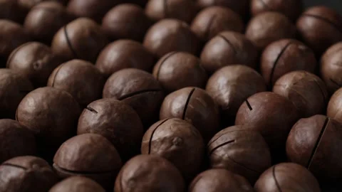 Macadamia nut seeds texture background Stock Footage 277516941