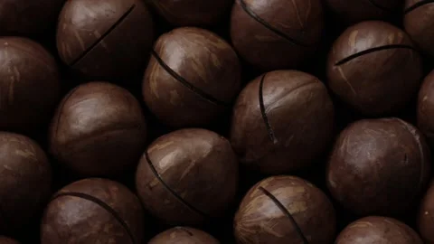 Macadamia nut seeds texture background Stock Footage 277516999