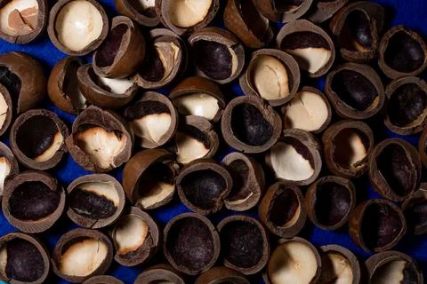Macadamia nut shell close-up, cracked macadamia nut, selective focus. Foto stock