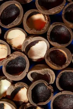Macadamia nut shell close-up, cracked macadamia nut, selective focus. Stock Photos