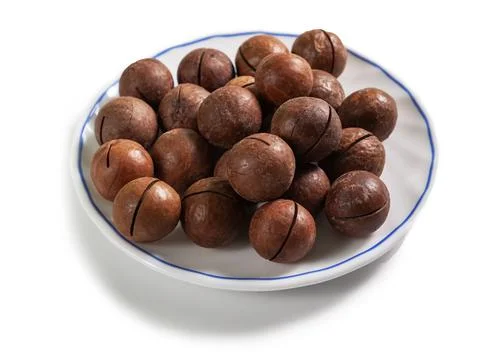 Macadamia nut in a shell on a white saucer with a blue border, isolated on a Stock Photos