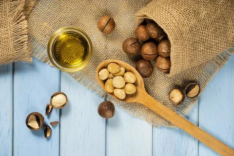 Macadamia nut, top view. Flatley. rustic style, space for text. An exotic pro Stock Photos