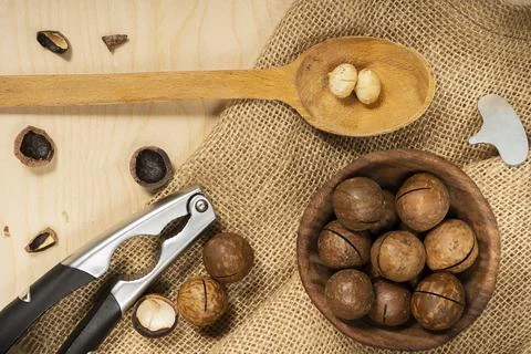 Macadamia nut, top view. Flatley. rustic style, space for text. An exotic pro Stock Photos