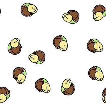 Macadamia nut vector seamless pattern Stock Illustration