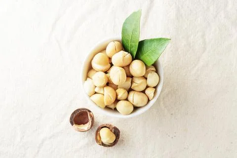 Macadamia nut in a white cup on a light fabric with a copy of space. Top view Foto stock