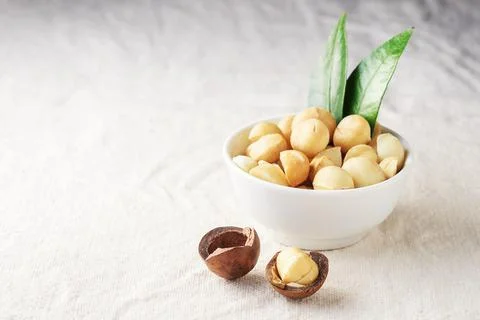 Macadamia nut in a white cup on a light fabric with a copy of space. Stock Photos