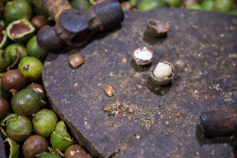 Macadamia nuts 2 Stock Photos