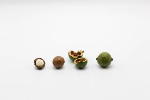 Macadamia nuts 5 Stock Photos