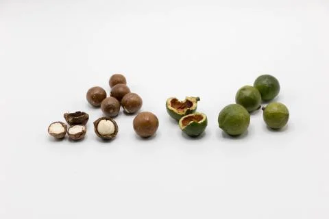 Macadamia nuts 6 Stock Photos