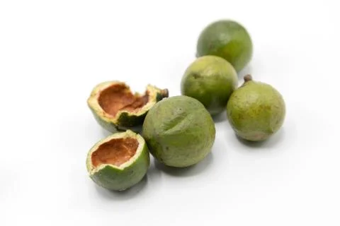 Macadamia nuts 7 Stock Photos