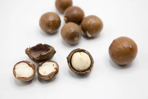 Macadamia nuts 8 Stock Photos