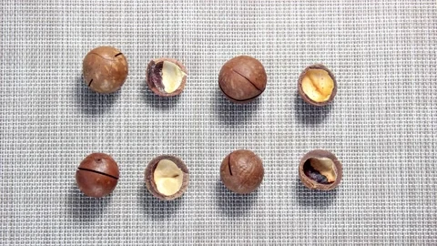 Macadamia nuts and empty shells take turns moving on the surface. Video stock 152970865
