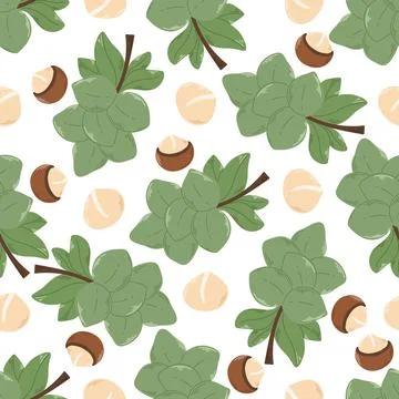 Macadamia nuts and foliage seamless pattern Illustrazione stock