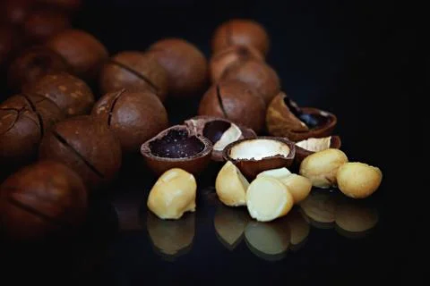 Macadamia nuts on a black background Stock Photos