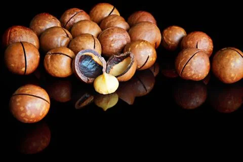Macadamia nuts on a black background Stock Photos