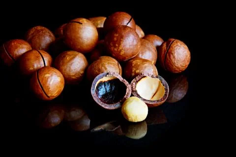 Macadamia nuts on a black background Stock Photos