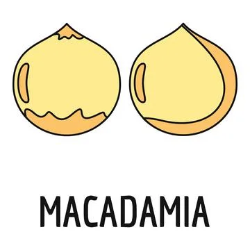 Macadamia nuts cartoon drawing with text Stock Illustration