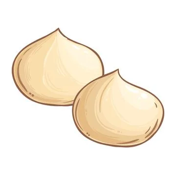 Macadamia Nuts Colored Detailed Illustration. Stock Illustration