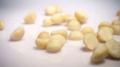 Macadamia nuts falling in slow motion Stock Footage 76437734