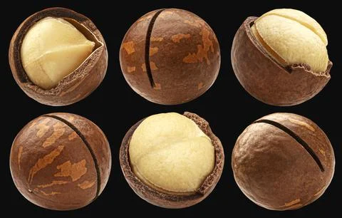 Macadamia nuts isolated on black background, package design elements Stock Photos