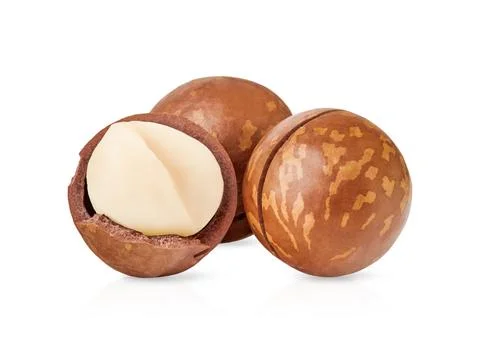 Macadamia nuts isolated on a solid white background. Featuring a half-opened  Stock Photos