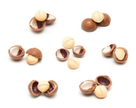 Macadamia nuts isolated on white background Stock Photos