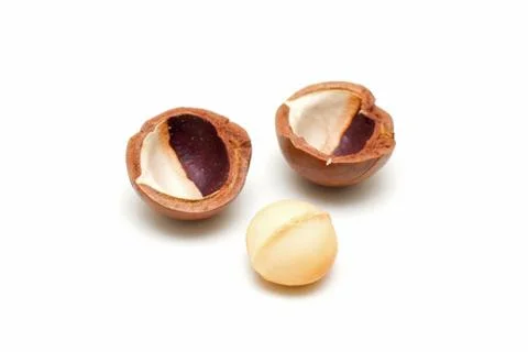 Macadamia nuts isolated on white background Stock Photos