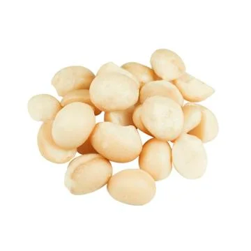 Macadamia nuts isolated on white background Stock Photos