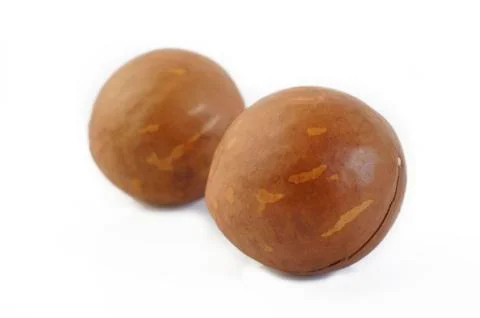 Macadamia nuts isolated on white background Stock Photos