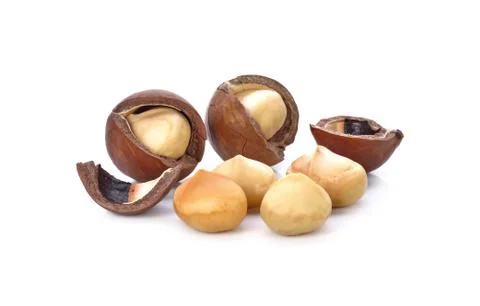 Macadamia nuts isolated on white background Stock Photos
