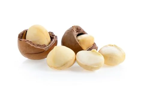 Macadamia nuts isolated on white background. Stock Photos