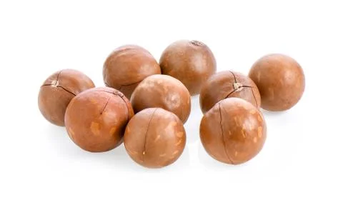 Macadamia nuts isolated on white background. Stock Photos