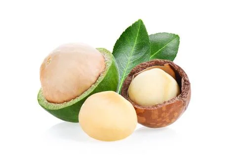 Macadamia nuts isolated on white background. Stock Photos